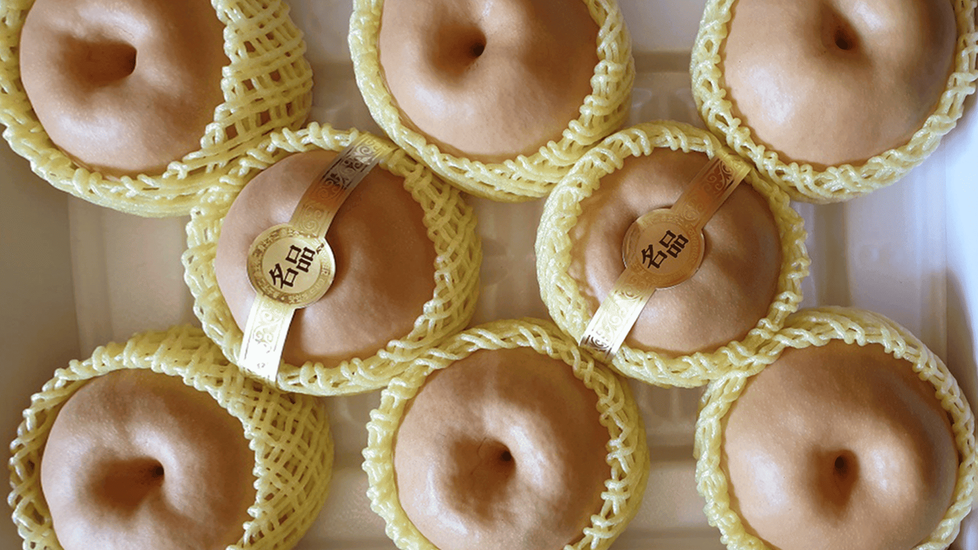 🎁상품 7.5키로(9과~10과)