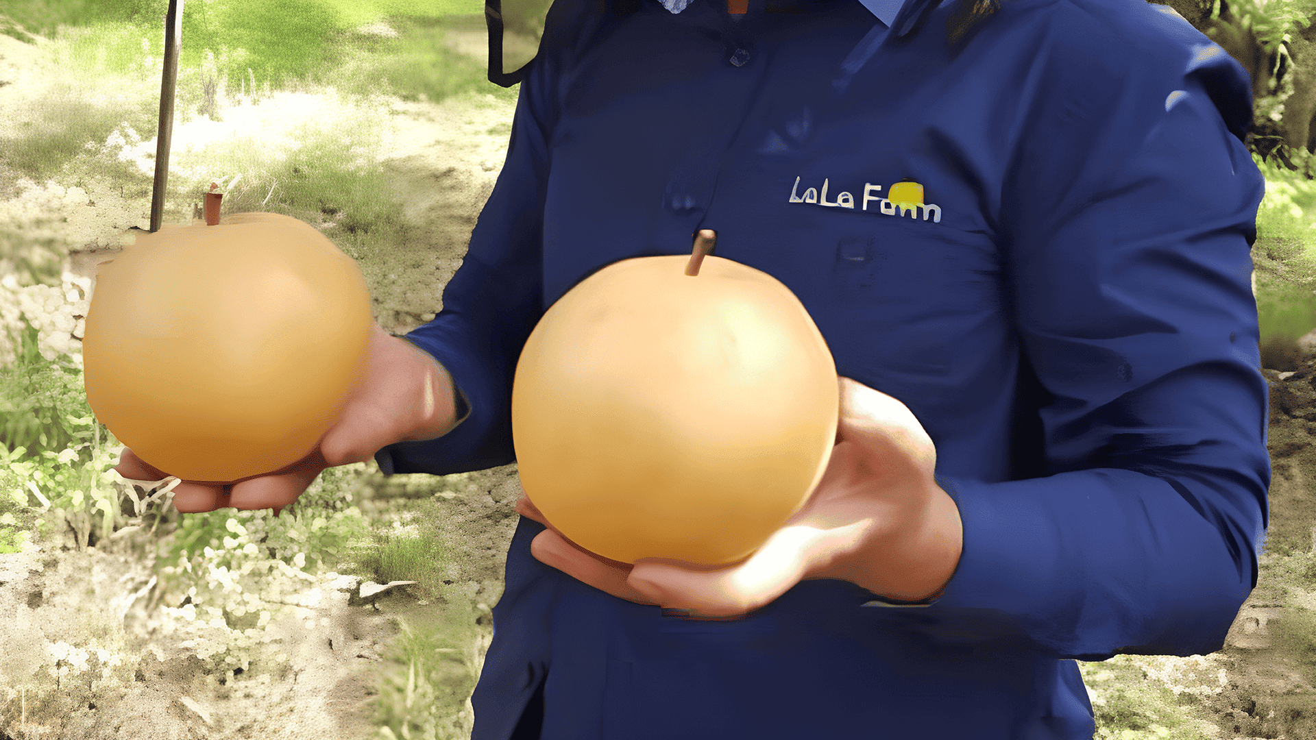 부성농원 이미지 2